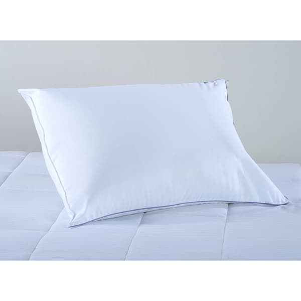 Sealy Microfiber Firm Density Bed Pillow - image 