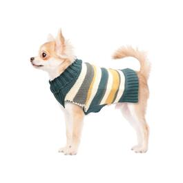 Best Furry Friends Harvest Stripe Pet Sweater