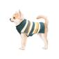 Best Furry Friends Harvest Stripe Pet Sweater - image 1