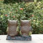 Hi-Line Gift Owl Couple with Welcome Sign Garden Statue - image 11