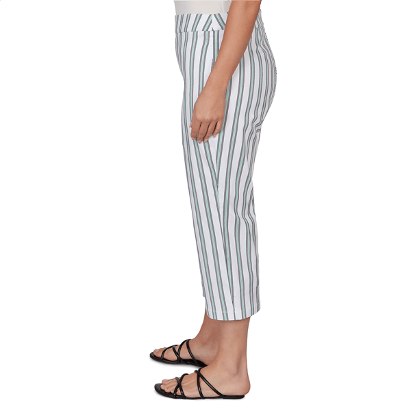 Plus Size Emaline Verde Grove I Stripe Pull On Capris