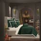 J. Queen New York Casey Sherpa Evergreen Bedding Set