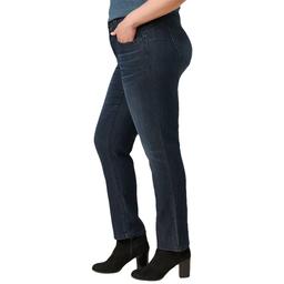 Plus Size Democracy “Ab”solution® Mid Rise Straight Leg Jeans