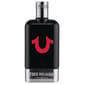 True Religion Eau de Toilette - 3.4 oz. - image 1