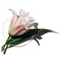 Clinique My Happy™ Lily Of The Beach Perfume - image 3
