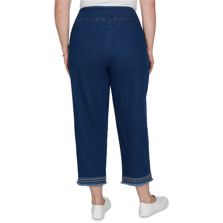 Plus Size Alfred Dunner Tuscany Pull On Aztec Embroidered Jeans