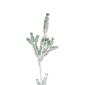 Northlight 5ft. Frosted Slim Pine Christmas Tree in Burlap Base - image 3