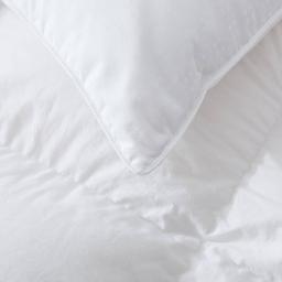 Firefly Twin Pack White Goose Feather and Nano Down Pillows