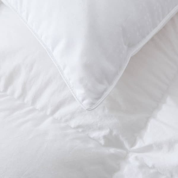 Firefly Twin Pack White Goose Feather and Nano Down Pillows
