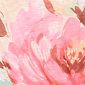 Womens Ruby Rd. Renaissance Romance Scallop Neck Floral Blouse - image 5