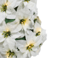 Puleo International 36in. Pre-Lit Potted White Poinsettias - image 4