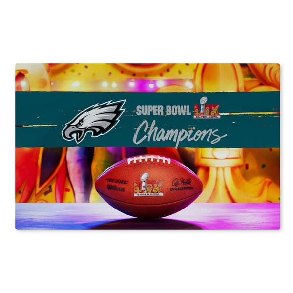 Northwest Super Bowl LIX Philadelphia Eagles Parade Accent Rug - image 