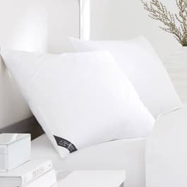 Boscov's bed clearance pillows