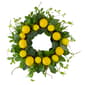 Northlight Seasonal Artificial Lemons &amp; Foliage Spring Wreath - image 1
