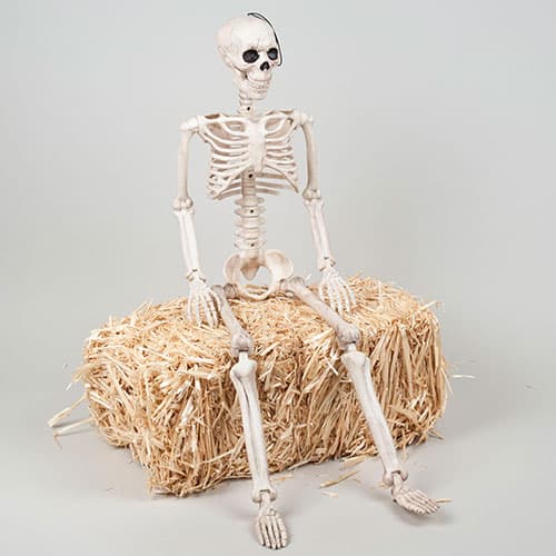 35in. Posable Plastic Skeleton - image 