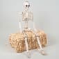 35in. Posable Plastic Skeleton - image 1