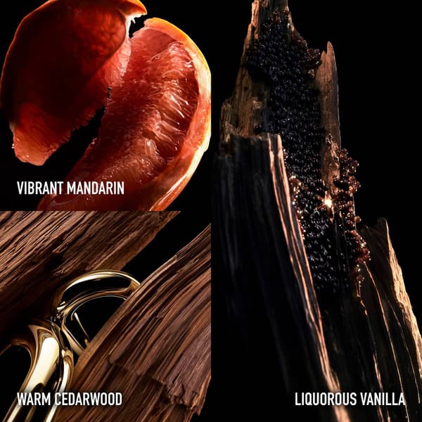 Rabanne Million Gold Elixir Parfum Intense