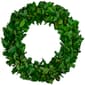 Northlight Seasonal Preserved Leaf Spring Garden Wreath - image 1