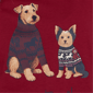 Womens Ruby Rd. Must Haves II 3/4 Sleeve Pawsitive Vibes Tee - image 6
