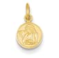 Gold Classics&#40;tm&#41; 14kt. Yellow Gold Polished Angel Charm - image 1