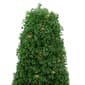 Northlight Seasonal 3ft. Pre-Lit Artificial Boxwood Topiary Tree - image 3
