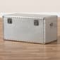 Baxton Studio Serge Metal Storage Trunk - image 9