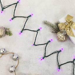 Northlight Seasonal Purple Bulb LED Mini Lights
