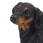 Hi-Line Gift Dachshund Garden Statue - image 5