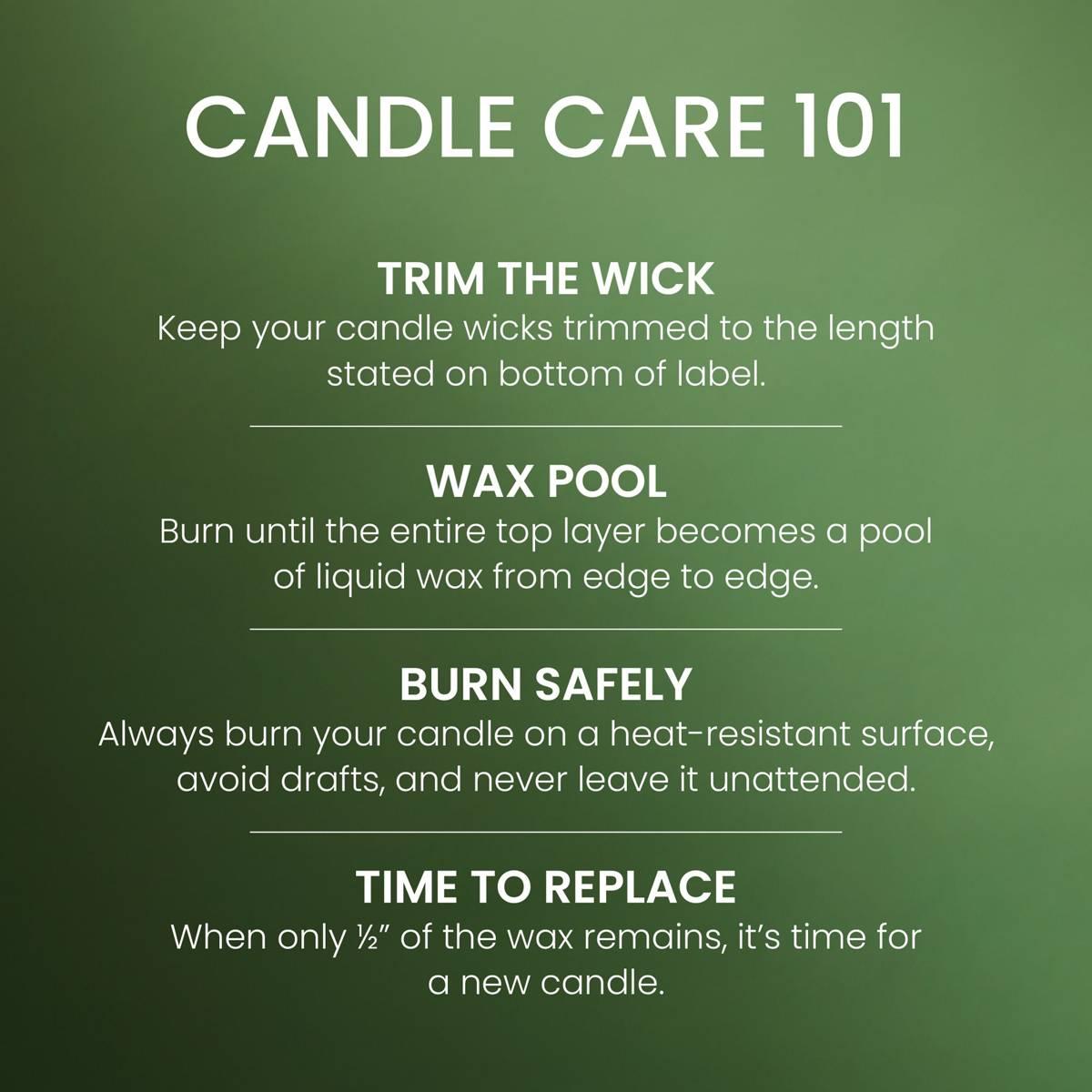 Yankee Candle® Balsam Cedar 3-Wick Jar Candle