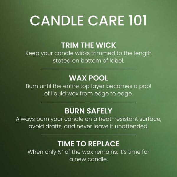 Yankee Candle® Balsam Cedar 3-Wick Jar Candle