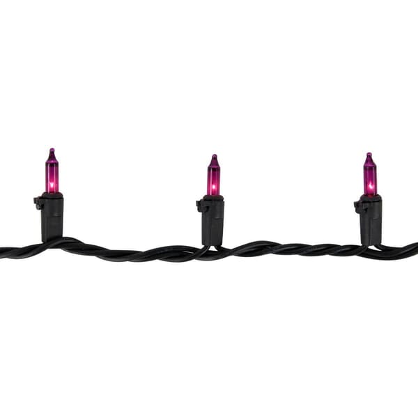 Northlight Seasonal 7ft. Purple Christmas Light Set - Black Wire