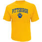 Mens Pittsburgh Panthers Pride Short Sleeve T-Shirt - image 2