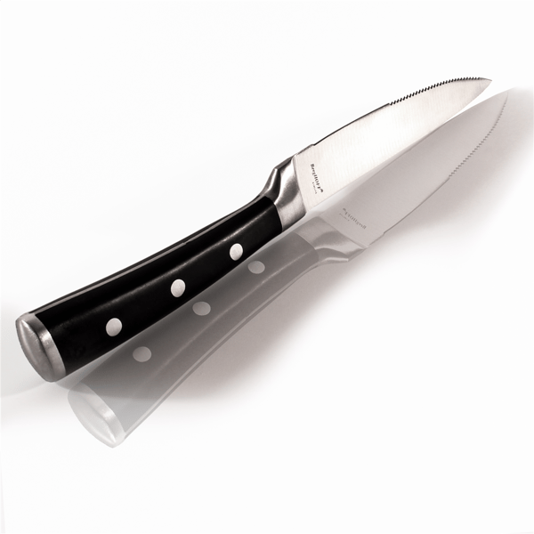 BergHOFF Essentials Classico 6pc. Stainless Steel Steak Knife Set