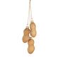 Northlight Seasonal Peanut Cluster Glass Christmas Ornament - image 1