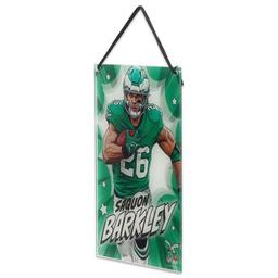 Open Road Eagles Barkley Small Hanging Acrylic Wall Decor