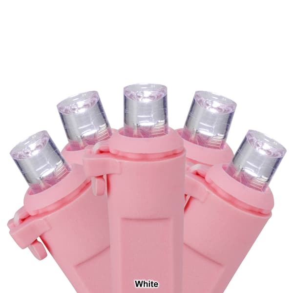 Northlight Seasonal 33ft. LED Valentine's Day 100ct. Lights