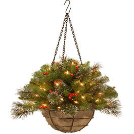 National Tree 20in Crestwood Spruce Hanging Basket