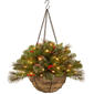 National Tree 20in Crestwood Spruce Hanging Basket - image 1