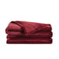 Truly Soft Plush Family Blanket - image 2