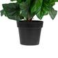 Northlight Seasonal Silk Begonia Artificial Potted Plant - image 5