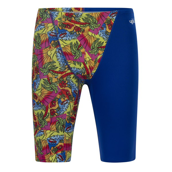 Dolfin Mens Print Jammer