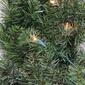 Northlight Seasonal 24in. Canadian Pine Christmas Wreath - image 2