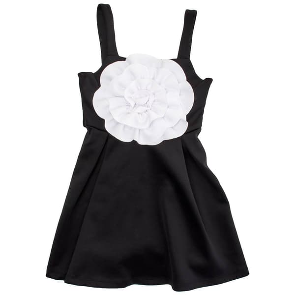 Girls &#40;7-16&#41; Bonnie Jean Sculpted Rose Skater Dress