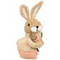 Northlight Seasonal Plush Boy Rabbit w/ Carrots Easter Figurine - image 4