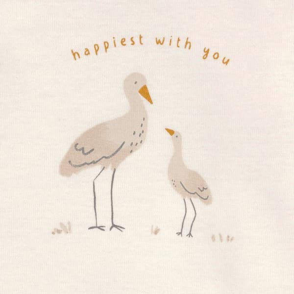 Baby Unisex (NB-24M) Carter’s® 5pk. Free to Fly Bodysuits