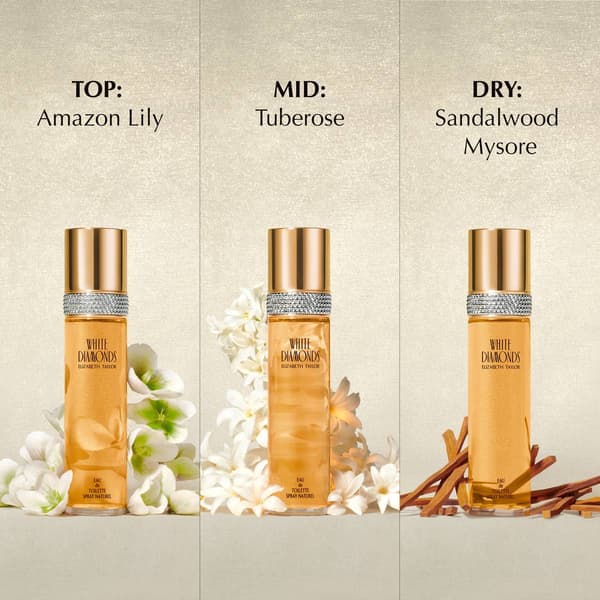 Elizabeth Taylor White Diamonds 4pc. Gift Set