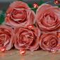 Northlight Seasonal Valentine&#39;&#39;s Day Love &amp; Heart LED Fairy Lights - image 2