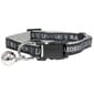 NFL Las Vegas Raiders Cat Collar - image 1