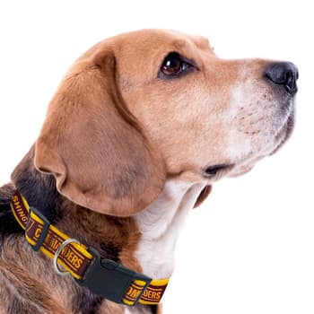 NFL Washington Commanders Dog Collar - Boscov's