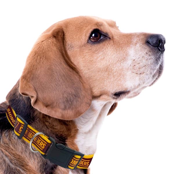 NFL Washington Commanders Dog Collar